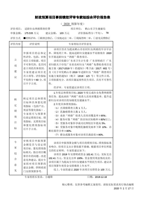 财政预算项目事前绩效评审专家组综合评价报告表