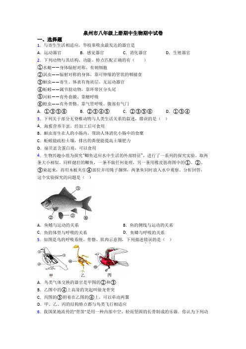 泉州市八年级上册期中生物期中试卷