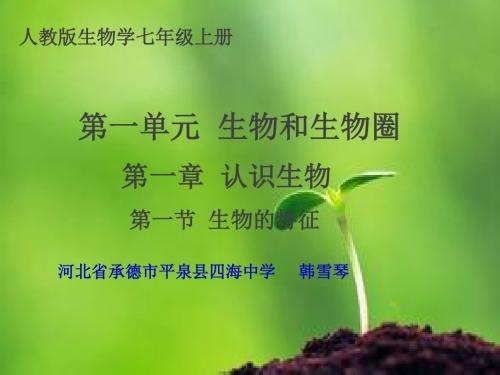 课件：第一单元 1-1 生物的特征(共37张PPT)