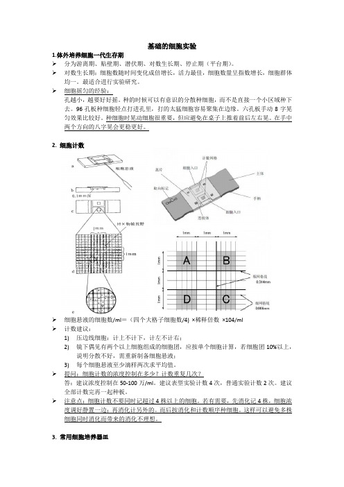 基础的细胞实验