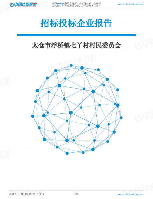 太仓市浮桥镇七丫村村民委员会-招投标数据分析报告