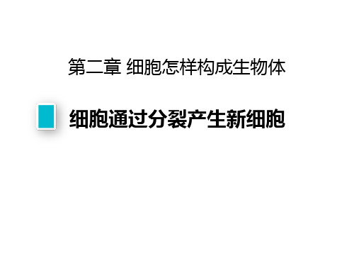 《细胞通过分裂产生新细胞》PPT免费课件