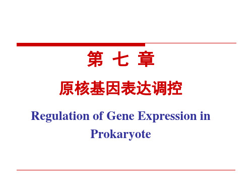 第七章-原核基因表达调控-张铁军