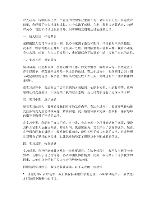 应届毕业实习生的感言