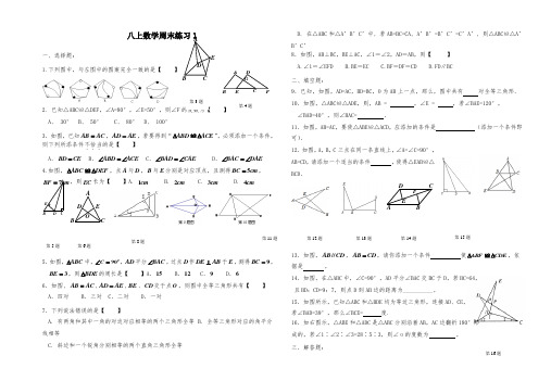 八年级(上)数学周末练习试题及答案