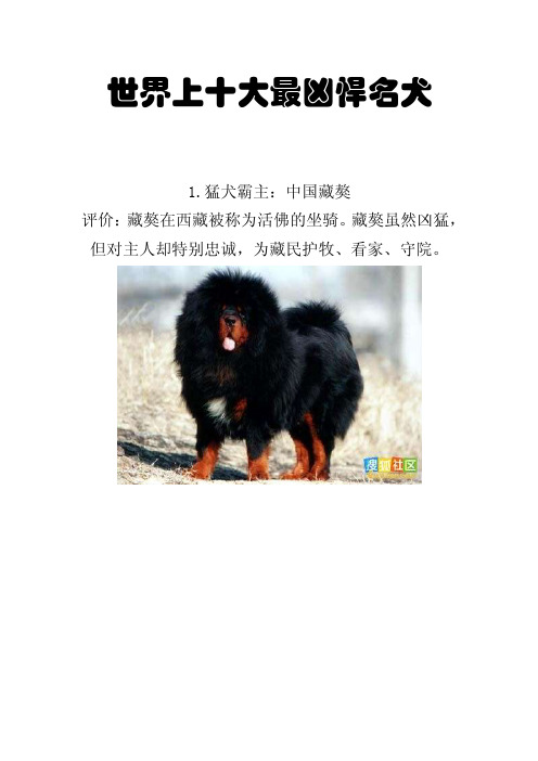 [精品文案]世界上十大最凶悍名犬