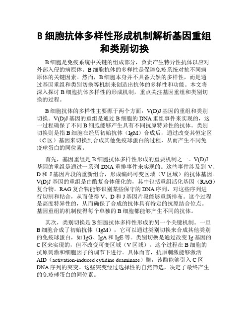B细胞抗体多样性形成机制解析基因重组和类别切换