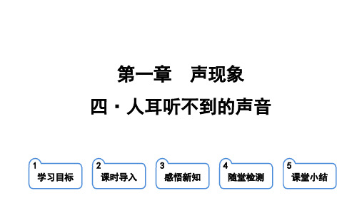 苏科版八年级物理上册第一章 声现象 第四节 人耳听不到的声音