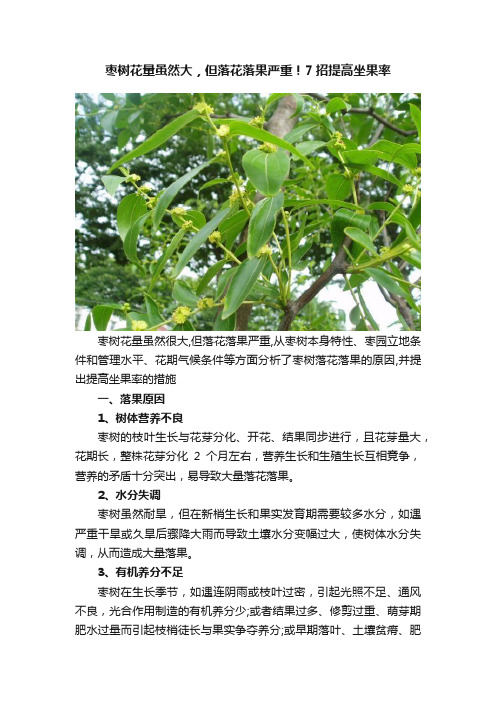 枣树花量虽然大，但落花落果严重！7招提高坐果率