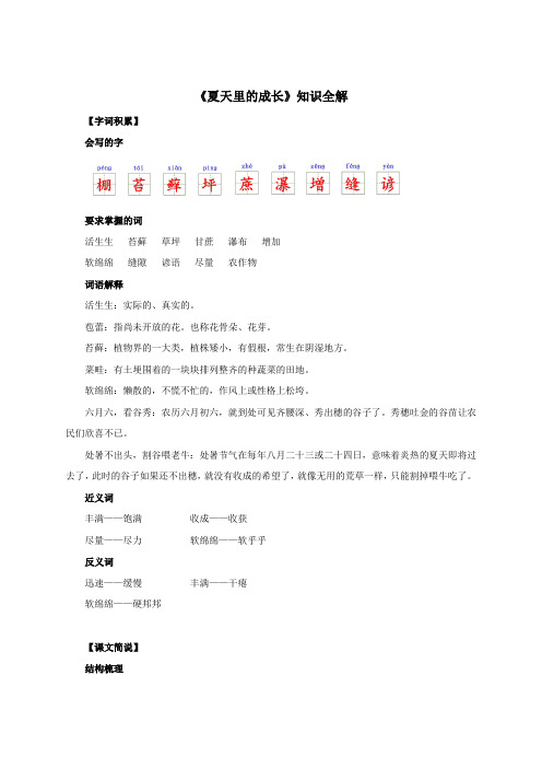 人教部编版小学六年级语文上册《夏天里的成长》知识全解