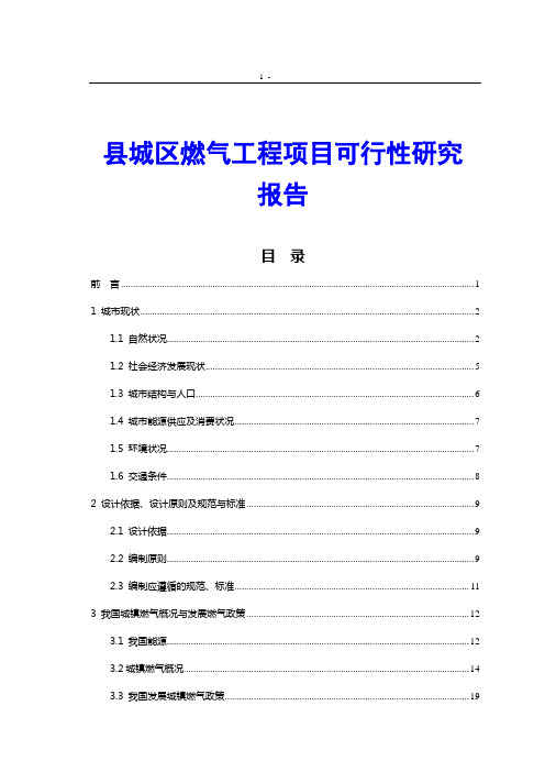 县城区燃气工程项目可行性研究报告