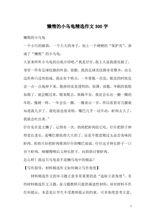 懒惰的小乌龟精选作文300字