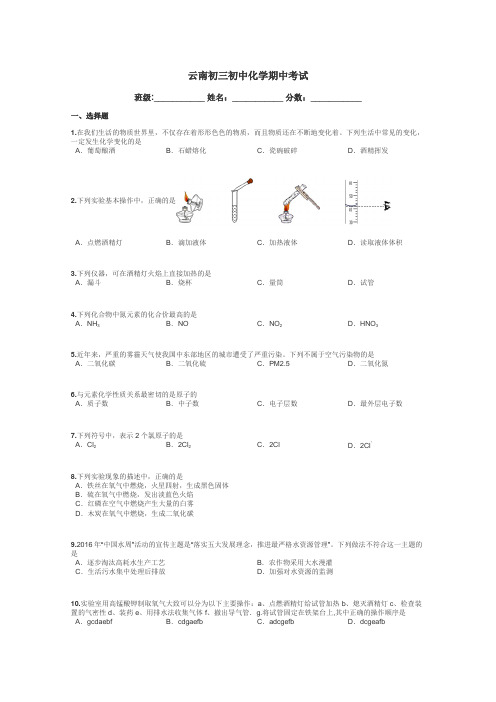 云南初三初中化学期中考试带答案解析
