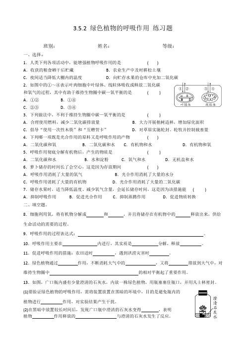 2023绿色植物的呼吸作用 练习题(有答案)