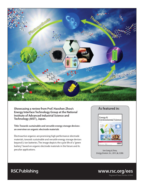 Towards sustainable and versatile energy storage devices