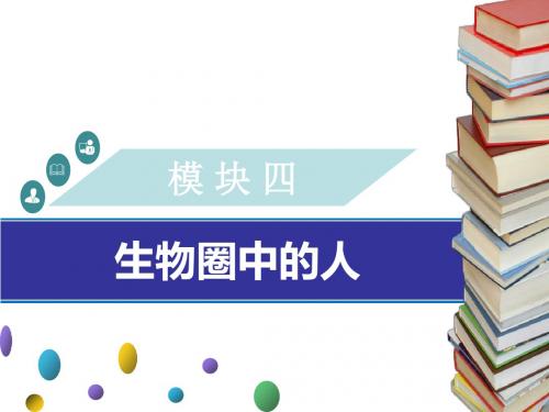 广东省中考生物模块四生物圈中的人第八课时人类的起源与进化课件