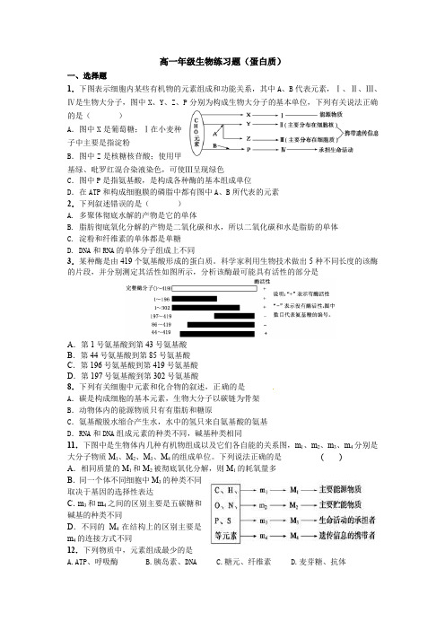 高中生物-高一年级生物练习题(蛋白质)