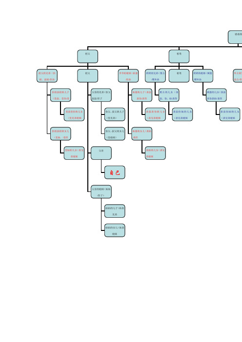 家族关系谱系图