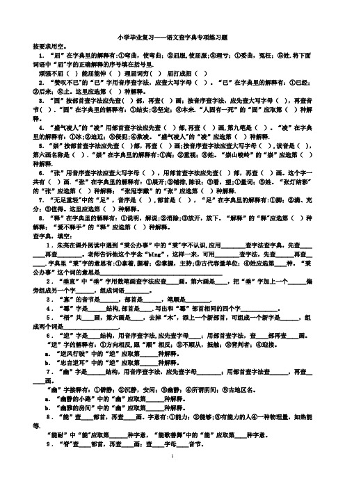 小学毕业六年级语文分类复习——查字典练习