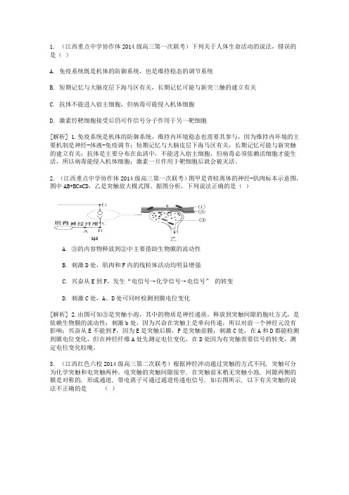 高考生物一轮复习精品试题解析训练:人和高等动物的神经调节