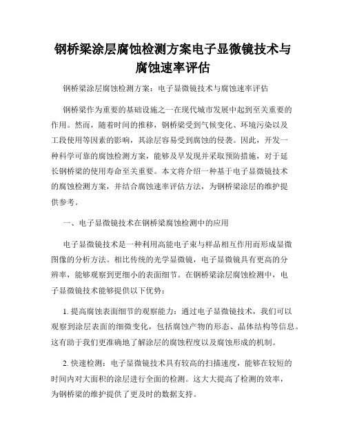 钢桥梁涂层腐蚀检测方案电子显微镜技术与腐蚀速率评估