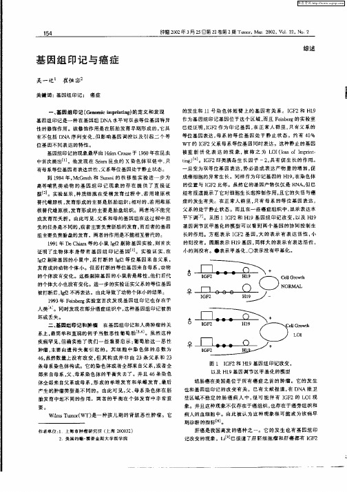 基因组印记与癌症