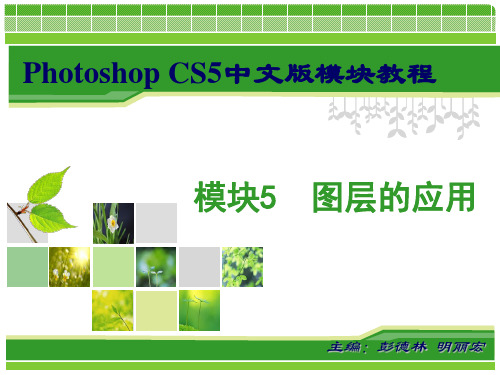 Photoshop CS5中文版模块教程彭德林 模块5 图层的应用新