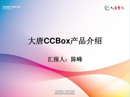 [重要]大唐融合：CCBox介绍(20100526)