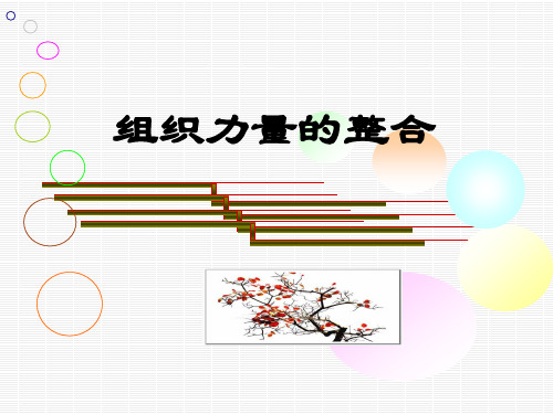 管理学组织力量的整合11.29