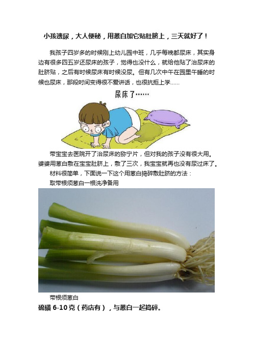 小孩遗尿，大人便秘，用葱白加它贴肚脐上，三天就好了！