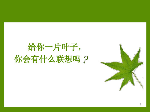 《一片叶子》ppt课件