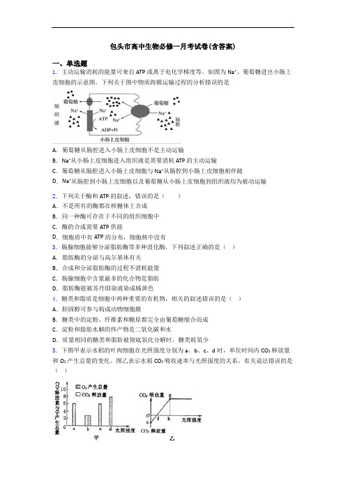 包头市高中生物必修一月考试卷(含答案)