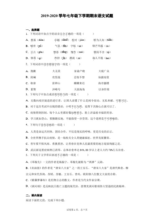 山东省济南市槐荫区2019-2020学年七年级下学期期末语文试题(含答案解析)