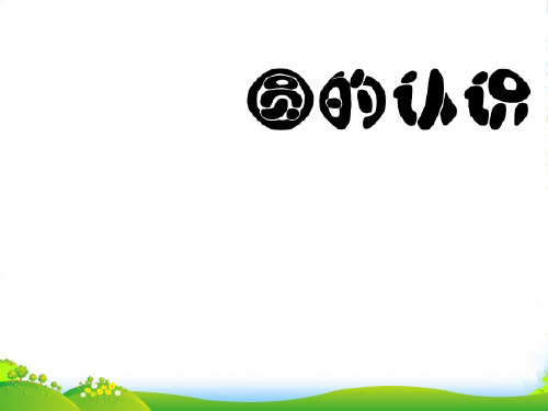 苏教版五年级下册数学课件8.3 圆的认识(共24张PPT)