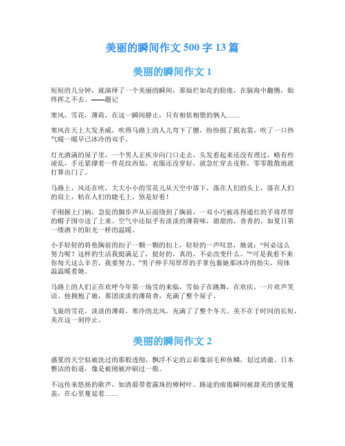 美丽的瞬间作文500字13篇