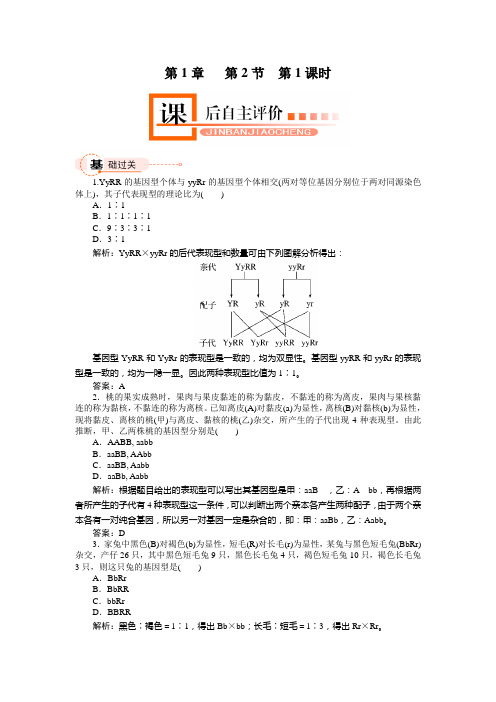 自由组合定律习题