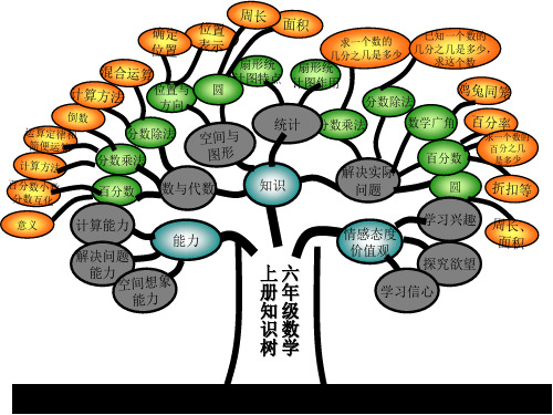 六年级上册知识结构图