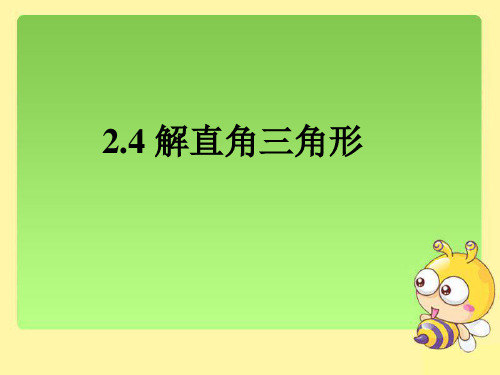 《解直角三角形》公开课教学PPT课件【青岛版九年级数学上册】