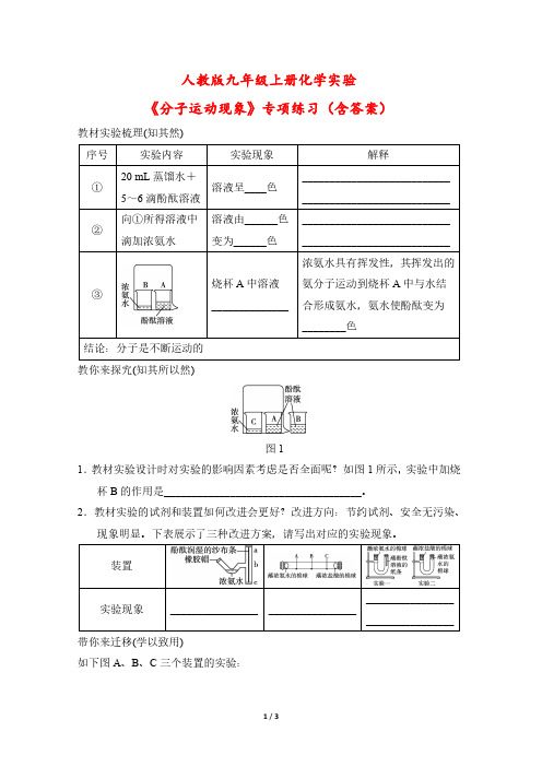 人教版九年级上册化学实验《分子运动现象》专项练习(含答案)