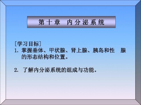 人体解剖学-内分泌系统_2022年学习资料