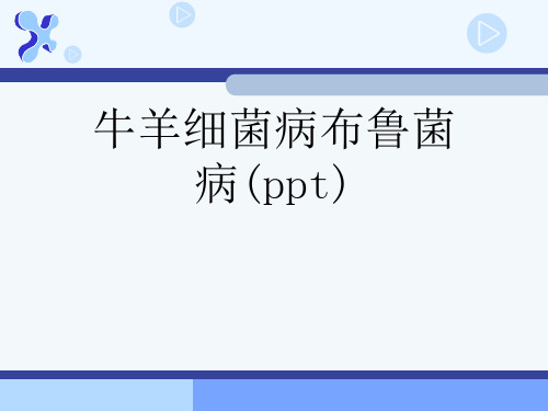 牛羊细菌病布鲁菌病(ppt)