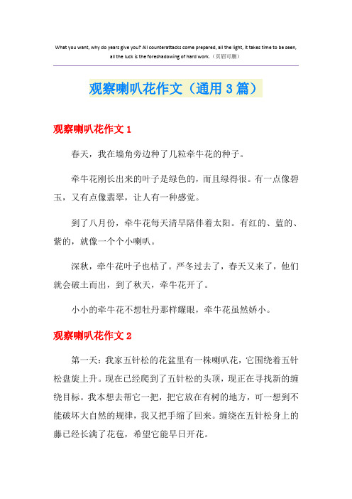 观察喇叭花作文(通用3篇)