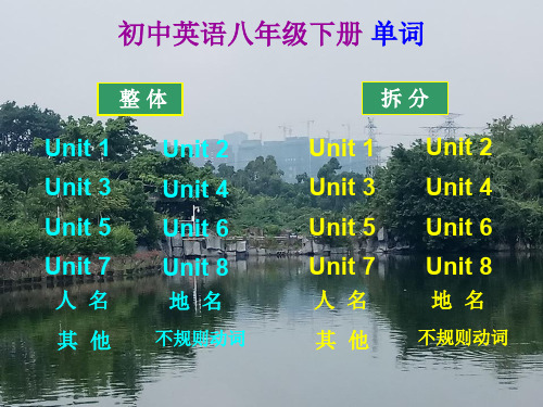 沪教牛津版初中英语八年级下册单词(电脑版)