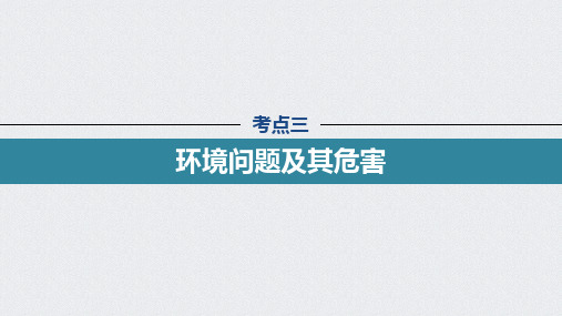 高考地理复习(新高考1) 选修性必修3 第1章 第31讲 考点三 环境问题及其危害