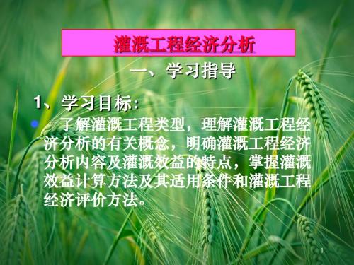 灌溉工程经济分析(ppt 12)