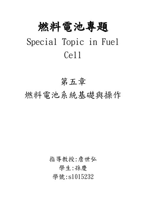 燃料电池专题第五章实验报告