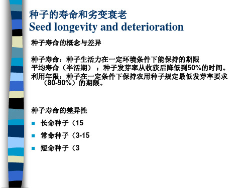 种子学 ppt课件