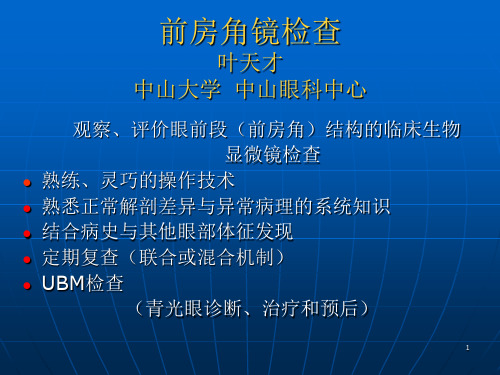 前房角镜检查PPT参考幻灯片