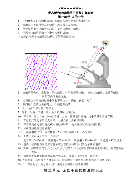 青岛版六年级下册科学知识点总结