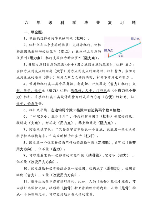 教科版科学六年级毕业复习题.docx